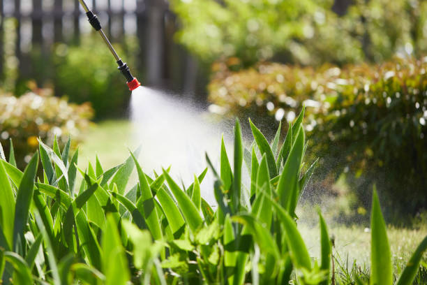 24/7 Emergency Ant Control experts in Butler Beach, FL