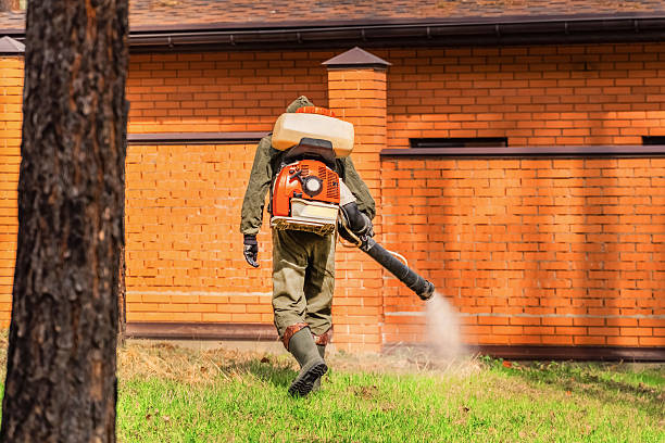 Trusted Ant Control service in Butler Beach, FL - Nex Pest Control